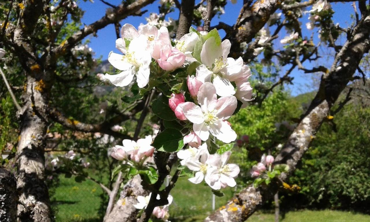 Bnb Castellane Chambre D'Hotes B&B Kültér fotó